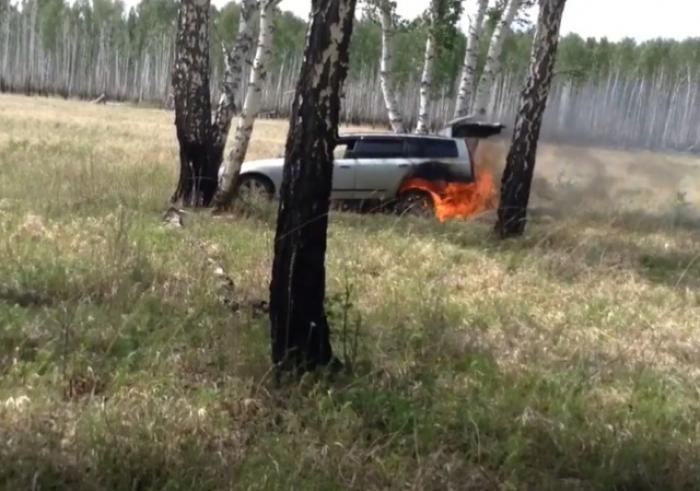 Когда поездка за грибами закончилась полным фиаско