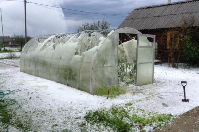 Суровое белорусское лето