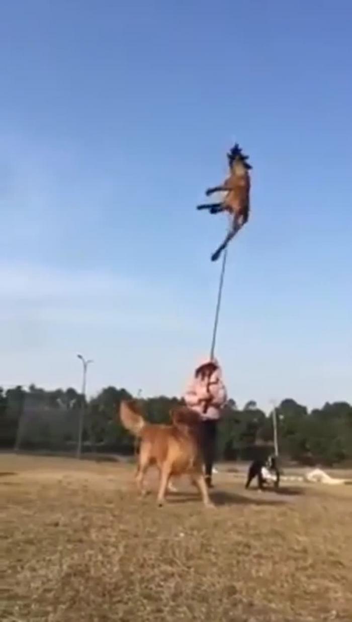 Вот это мощный прыжок!
