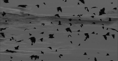 Прикольные гифки