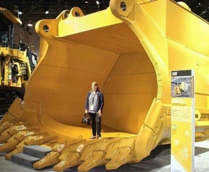 Удивительные находки, сделанные людьми