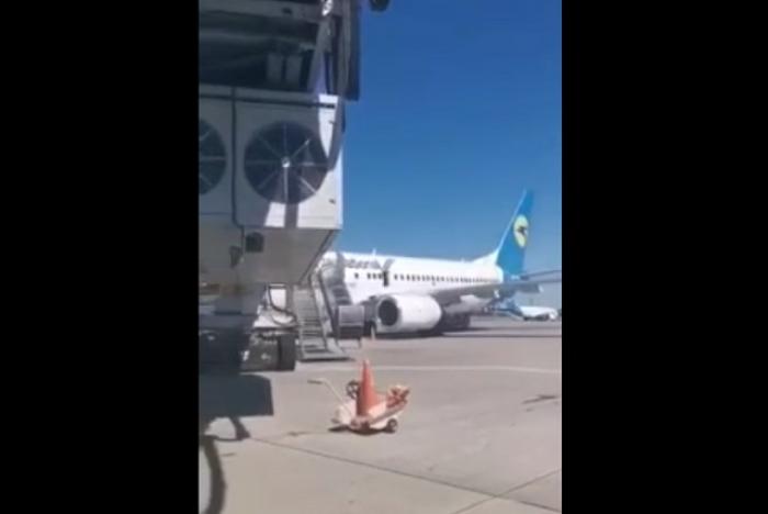 В Борисполе девушка решила позагорать на крыле самолета
