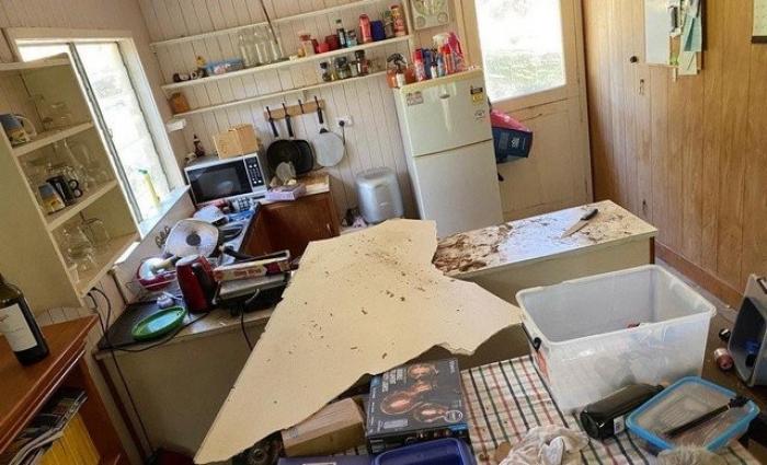 Вернулся из отпуска и обнаружил в своем доме необычных гостей