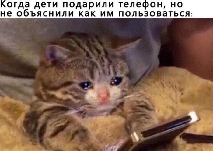 Мемы для пенсионеров