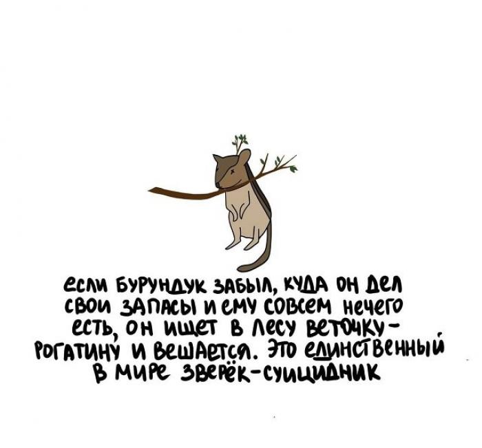 Интересные факты на все случаи жизни