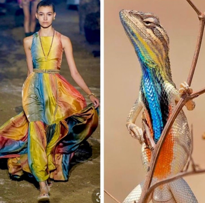 Dior и сарада суперба Dior и сарада суперба