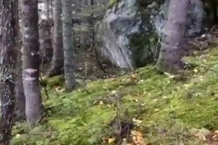 Движение земли в Канаде