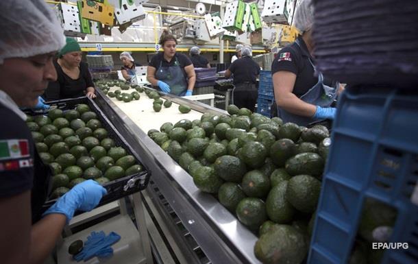 Человек должен работать не более 39 часов в неделю - ученые