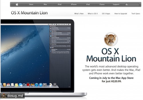 Mountain Lion