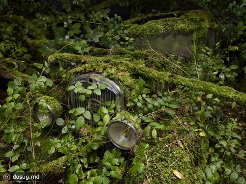 Фотосерия Парковка в раю от Peter Lippmann