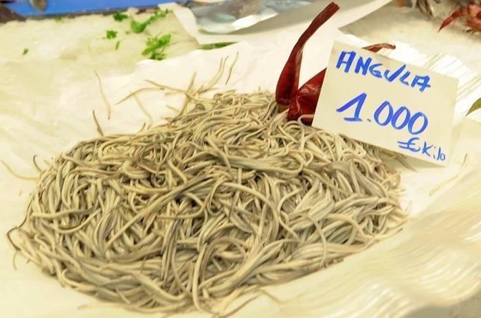 Мальки речного угря 1000 евро за килограмм