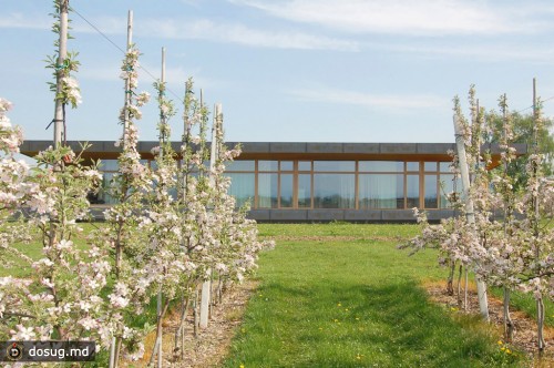 Фермерский дом в Германии от k_m architektur