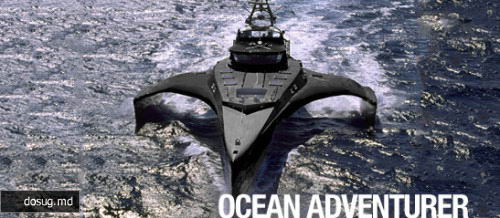 Экологи из Sea Shepherd