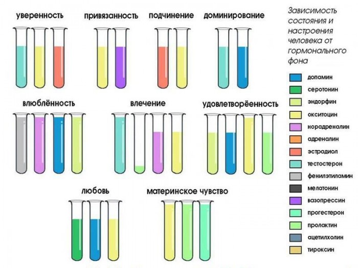 Элементарная химия человеческих чувств