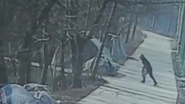 Китаец жестоко отомстил за убитую собаку