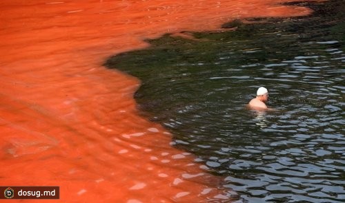 Красная морская вода у сиднейского побережья