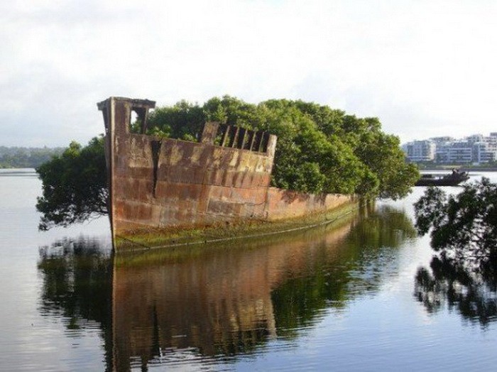 Паровое судно SS Ayrfield