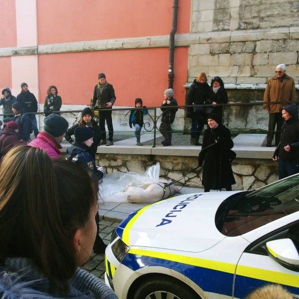 Веганка протащила по улице дохлую свинью в знак протеста