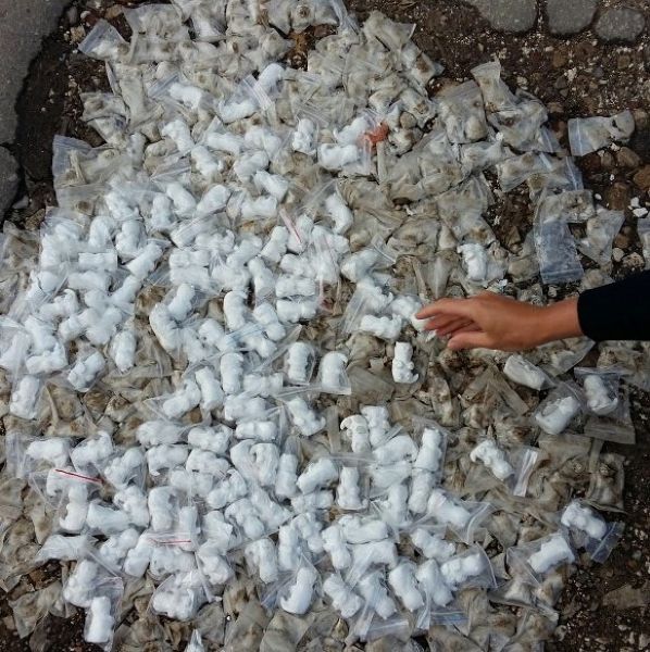 В Саратове дорожные выбоины залатали гипсовыми котиками