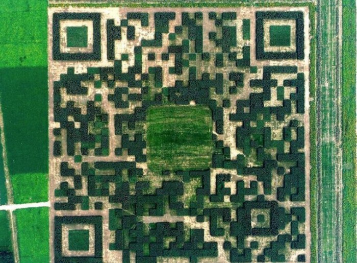 Огромный QR-код из 130 000 деревьев и кустов, который невозможно прочитать