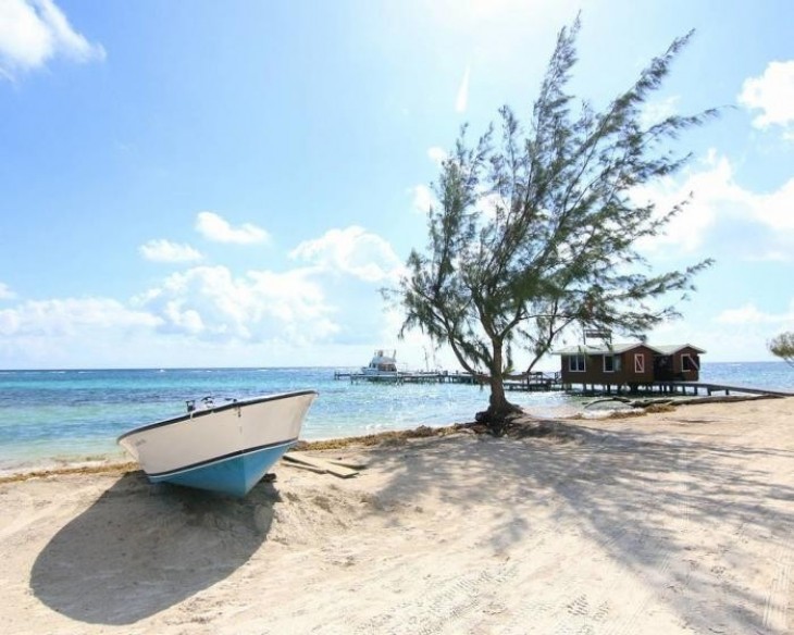 Blackbird Caye Resort (Тернефф Атолл, Белиз)